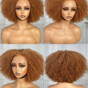 AFRO KINKY CURLY CLOSURE WIG